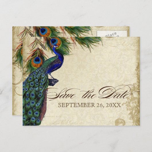 Peacock & Feathers Formal Save the Date Aqua Blue Ankündigungspostkarte (Vorne/Hinten)