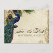 Peacock & Feathers Formal Save the Date Aqua Blue Ankündigungspostkarte (Vorderseite)