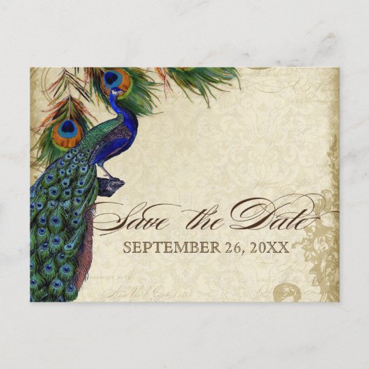 Peacock & Feathers Formal Save the Date Aqua Blue Ankündigungspostkarte (Vorderseite)