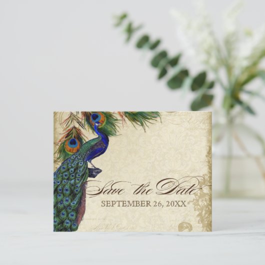 Peacock & Feathers Formal Save the Date Aqua Blue Ankündigungspostkarte (Stehend Vorderseite)