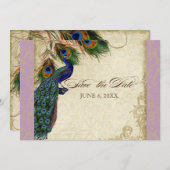 Peacock & Feathers Formal Save the Date Aqua Blue Einladung (Vorne/Hinten)