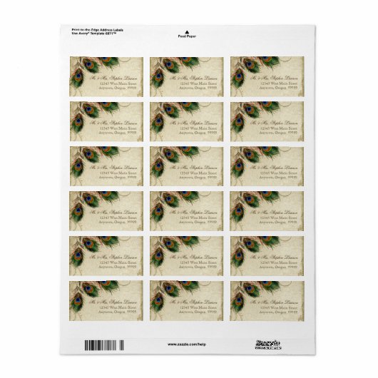 Peacock & Feathers Formal Wedding Address Address Adressaufkleber (Vorne)