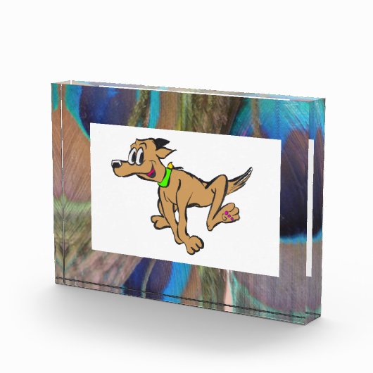 Peacock Feathers Foto Block (Rechts)