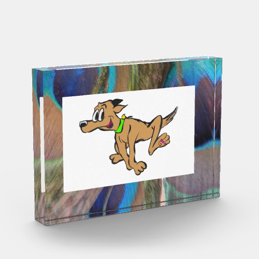 Peacock Feathers Foto Block (Links)