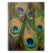 Peacock Feathers-Foto Notizblock (Vorderseite)