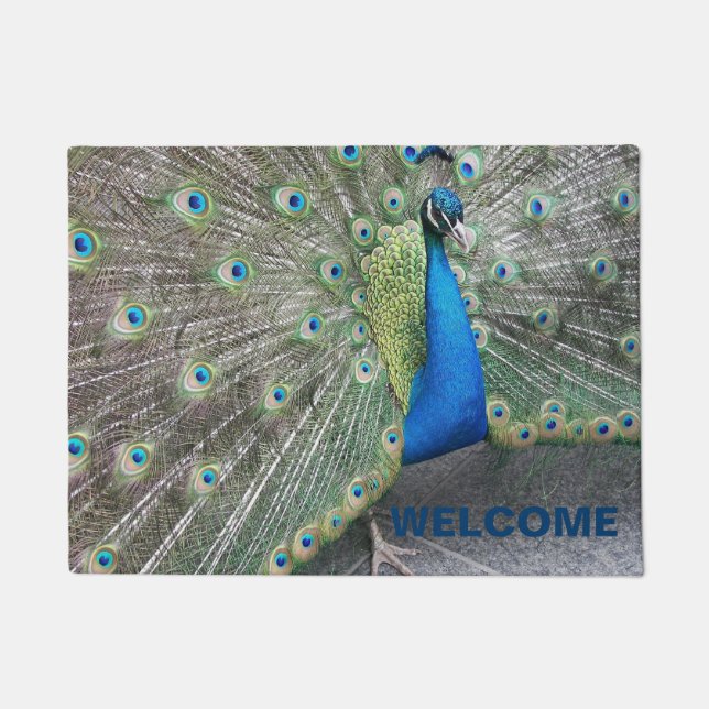Peacock Feathers Foto Willkommen Fußmatte (Vorderseite)
