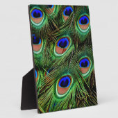 Peacock Feathers Fotoplatte (Seite)