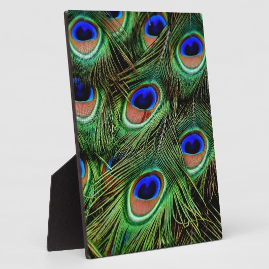 Peacock Feathers Fotoplatte (Seite)