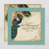 Peacock & Feathers Frische Hochzeit Einladung Aqua (Vorne/Hinten)