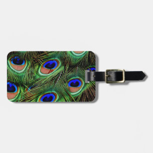 Peacock Feathers Gepäckanhänger