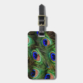 Peacock Feathers Gepäckanhänger (Vorderseite vertikal)