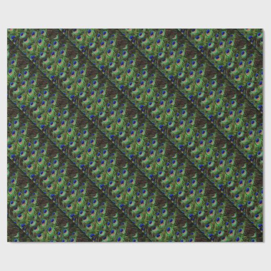 Peacock Feathers Geschenkpapier (Flach)