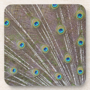 Peacock Feathers Getränkeuntersetzer