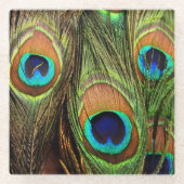 Peacock Feathers Glasuntersetzer (Vorderseite)