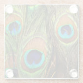 Peacock Feathers Glasuntersetzer (Rückseite)