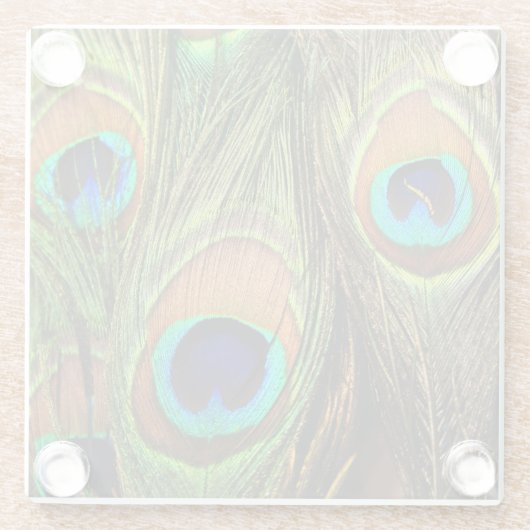 Peacock Feathers Glasuntersetzer (Rückseite)
