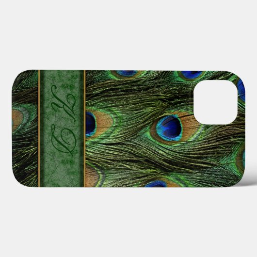 Peacock Feathers iPhone 6 Case Monogram (Rückseite (Horizontal))