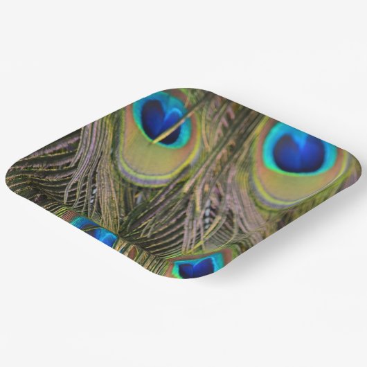 Peacock Feathers Kauai Hawaii Pappteller (Gewinkelt)