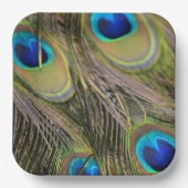 Peacock Feathers Kauai Hawaii Pappteller (Vorderseite)