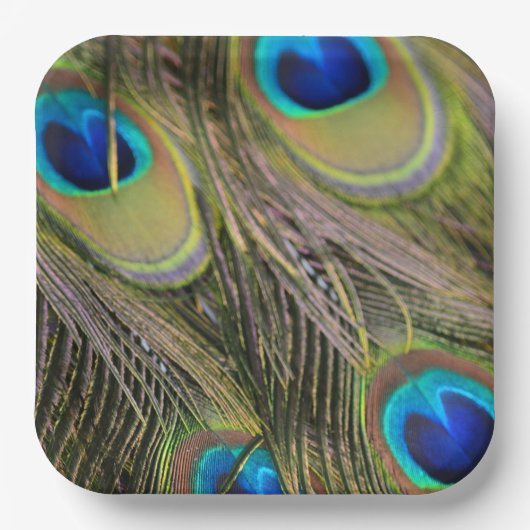 Peacock Feathers Kauai Hawaii Pappteller (Vorderseite)