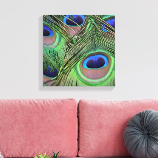 Peacock Feathers Leinwanddruck (Insitu (Wohnzimmer))