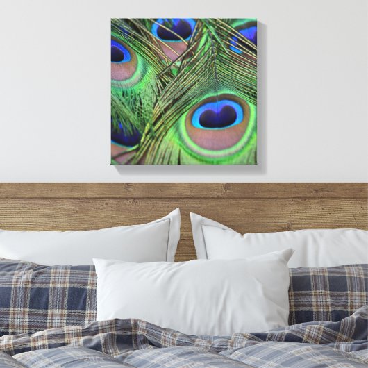 Peacock Feathers Leinwanddruck (Insitu (Schlafzimmer))