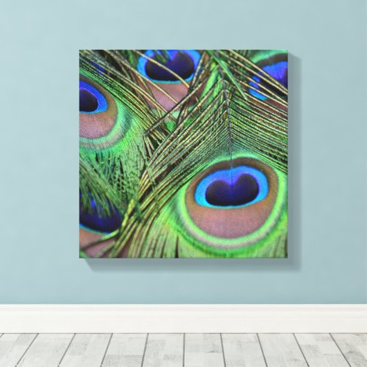 Peacock Feathers Leinwanddruck (Insitu (Holzboden))