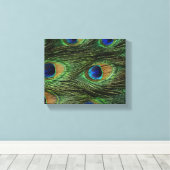 Peacock Feathers Leinwanddruck (Insitu (Holzboden))