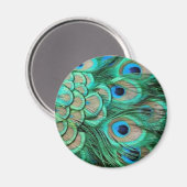 PEACOCK FEATHERS MAGNET (Vorderseite/Rückseite)