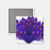 Peacock Feathers Magnet (Vorderseite/Rückseite)