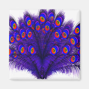 Peacock Feathers Magnet