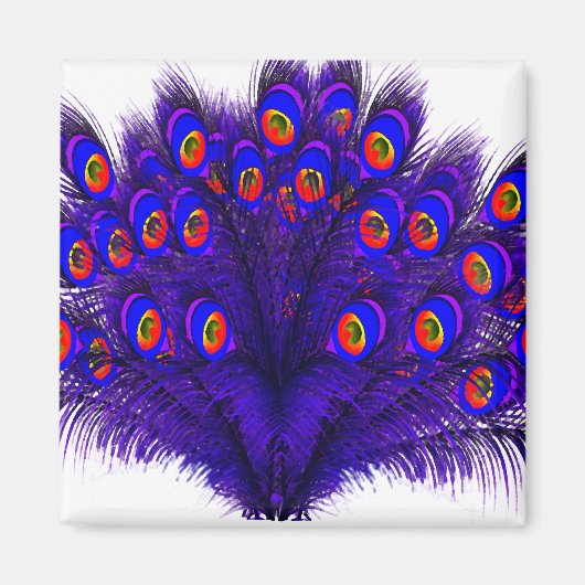 Peacock Feathers Magnet (Vorne)