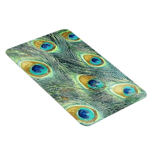 PEACOCK FEATHERS Magnet (Rechte Seite)