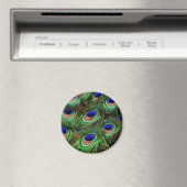 Peacock Feathers Magnet (In Situ (Geschirrspüler))
