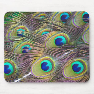 Peacock Feathers Mousepad
