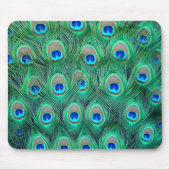 Peacock Feathers Mousepad (Vorne)