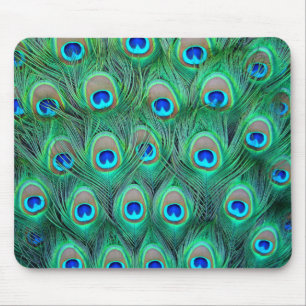 Peacock Feathers Mousepad