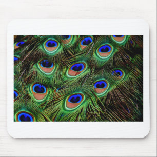 Peacock Feathers Mousepad