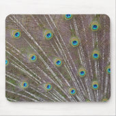 Peacock Feathers Mousepad (Vorne)