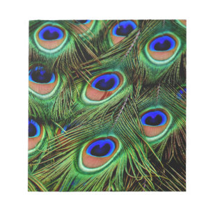 Peacock Feathers Notizblock