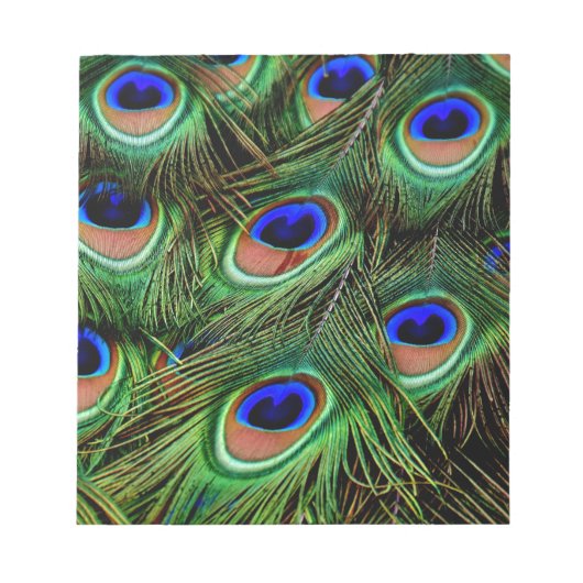 Peacock Feathers Notizblock (Vorderseite)