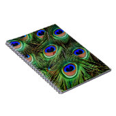 Peacock Feathers Notizblock (Rechte Seite)
