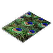 Peacock Feathers Notizblock (Linke Seite)