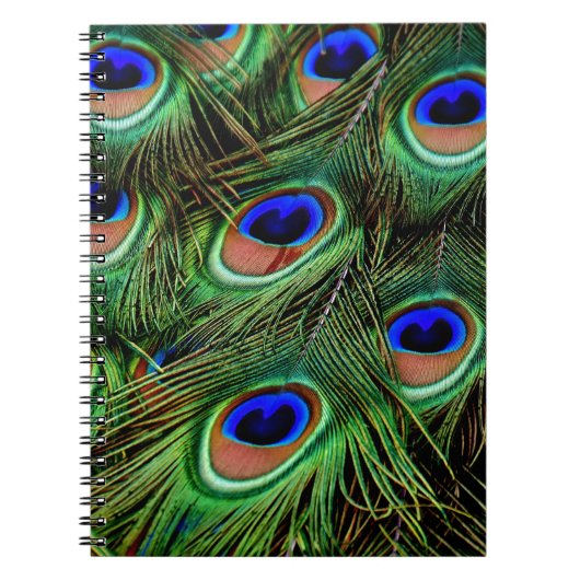 Peacock Feathers Notizblock (Vorderseite)