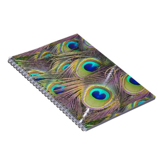 Peacock Feathers Notizblock (Rechte Seite)