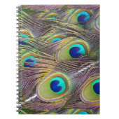 Peacock Feathers Notizblock (Vorderseite)