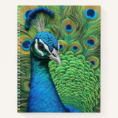 Peacock Feathers Notizblock (Vorderseite)