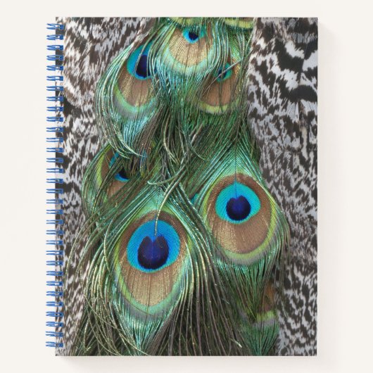Peacock Feathers Pattern-Notebook Notizblock (Vorderseite)