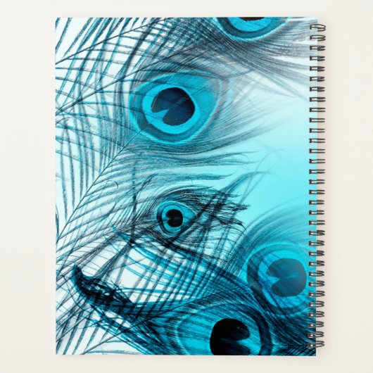 Peacock Feathers Planer (Rückseite)