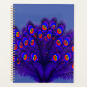 Peacock Feathers Planer (Vorderseite)
